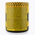 Prieš treniruotę Real Pharm Unreal 360g juodųjų serbentų 701510 2
