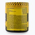 Prieš treniruotę Real Pharm Unreal 360g juodųjų serbentų 701510 3