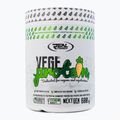Real Pharm Vege Protein 600g sūdytos karamelės 709103