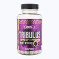 Testosterono stiprintuvas Real Pharm Tribulus 1000mg 60 kapsulių 714053