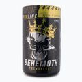 Real Pharm Behemot prieš treniruotę 500g mango-maracuja 714183