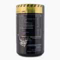 Real Pharm Behemot prieš treniruotę 500g mango-maracuja 714183 3