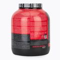 Izoliatas Fitness Authority Bad Ass Zero 2 kg cookies with cream 2