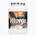 Angliavandeniai Fitness Authority FA Vitargo Liquid Energy 1 kg orange/coconut