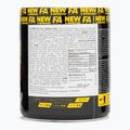Kreatinas Fitness Authority Napalm Crea Test 255 g mango/lemon 2