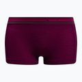 Brubeck moteriški termo šortai BX10860 Active Wool plum