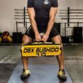 Maitinimo krepšys DBX BUSHIDO 10 kg geltonas Pb10 8