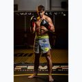Bokso pirštinės DBX BUSHIDO "Hammer - Red" Muay Thai juodos/raudonos 15