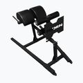 Įrenginys bicepsams treniruoti THORN FIT GHD-1 gym black