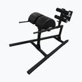 Įrenginys bicepsams treniruoti THORN FIT GHD-1 gym black 2