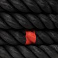 Treniruoklių šokdynė THORN FIT Competition Hybrid do sanek black 7