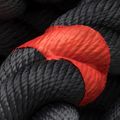 Treniruoklių šokdynė THORN FIT Competition Hybrid do sanek black 8