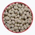 MatchPro Top garlic 7 mm hanteliukas su kabliuku 979231 2