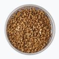 Liofilizuotas maistas LYOFOOD Sorų košė su kokosų gėrimu 210 g 3