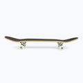 Fish Skateboards Emma Beginner 8.0 žalia klasikinė riedlentė 3