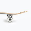 Fish Skateboards Zack Pradedančiųjų klasikinė riedlentė 8.0' mėlyna SKATE-ZAC-SIL-WHI 12