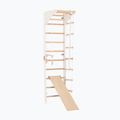 Gimnastikos kopėčios RINAGYM SPR C+SLIDE 2