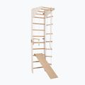 Gimnastikos kopėčios RINAGYM SPR C+SLIDE 4