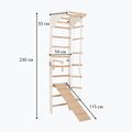 Gimnastikos kopėčios RINAGYM SPR C+SLIDE 6