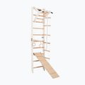 Gimnastikos kopėčios RINAGYM SPR A+SLIDE 3