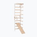 Gimnastikos kopėčios RINAGYM SPR B+SLIDE 3