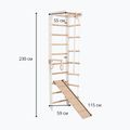 Gimnastikos kopėčios RINAGYM SPR B+SLIDE 5