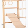 Gimnastikos kopėčios RINAGYM SPR B+SLIDE 5