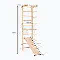 Gimnastikos kopėčios RINAGYM SPR B+SLIDE 6