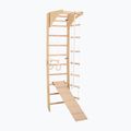 Gimnastikos kopėčios RINAGYM SPR C+SLIDE 3