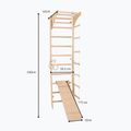 Gimnastikos kopėčios RINAGYM SPR C+SLIDE 6
