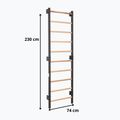 Gimnastikos kopetėlės RINAGYM Steel 1 graphit 9