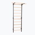 Gimnastikos kopetėlės RINAGYM Steel Pure graphit 2