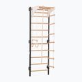 Gimnastikos kopetėlės RINAGYM Steel Kom 2 graphit/white 3