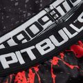 Pitbull West Coast vyriškos kelnės Compr Pants Blood Dog black 3