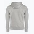 Vyriškas džemperis Pitbull West Coast Hooded Small Logo 21 pilka/melsva 2