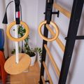 BenchK vaikų gimnastikos reikmenų rinkinys iš natūralaus ąžuolo A/076 5