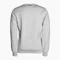 Vyriški Pitbull West Coast Crewneck džemperiai Fern grey/melange 2