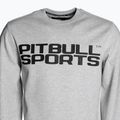 Vyriški Pitbull West Coast Crewneck džemperiai Fern grey/melange 3