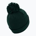 Žieminė kepurė Pitbull West Coast Beanie Bubble Small Logo dark green 2