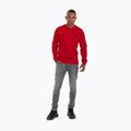 Vyriški Pitbull West Coast Tanbark Crewneck džemperiai raudoni 2