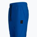 Vyriškos Pitbull West Coast kelnės Clanton royal blue 9