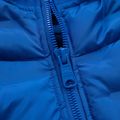 Pitbull West Coast vyriška pūkinė striukė Firestone royal blue 3