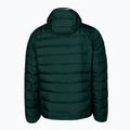 Vyriška žieminė striukė Pitbull West Coast Padded Hooded Seacoast tamsiai alyvinė 2