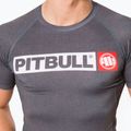 Pitbull West Coast vyriška T-S Rash Hilltop pilka/melanžinė liemenėlė 4