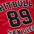 Pitbull West Coast vyriška striukė Silverwing Padded Varsity raudona 5