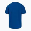 Vyriški marškinėliai Pitbull Small Logo royal blue 8