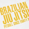 Pitbull West Coast BJJ Champions vyriški marškinėliai balti 3