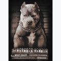 Vyriški marškinėliai Pitbull West Coast Mugshot 2 black 8