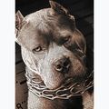 Vyriški marškinėliai Pitbull West Coast Mugshot 2 black 9