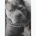 Vyriški marškinėliai Pitbull West Coast Mugshot 2 white 9